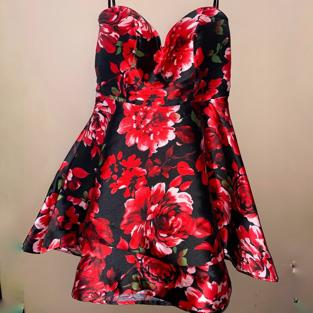 D.Barlin Formal Dress